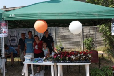 La Festa